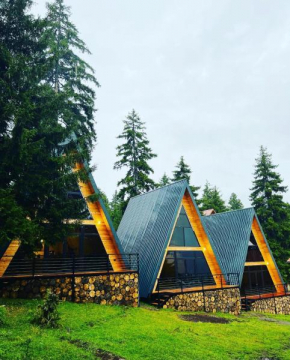 Collodi Cottages